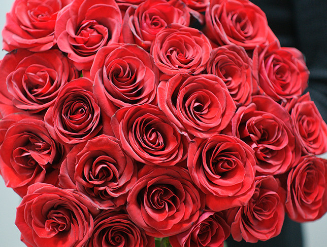 25 Dutch red roses 60-70 cm photo
